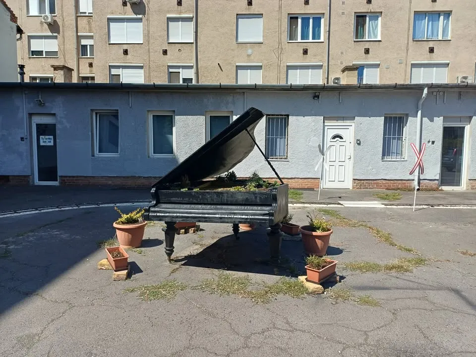 Abdenágó - Dáni 3,5 1